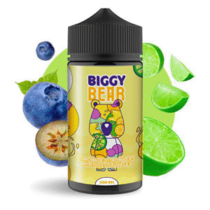 LIMONADE CITRON VERT MYRTILLE SAUVAGE FRAIS 200ML - BIGGY BEAR